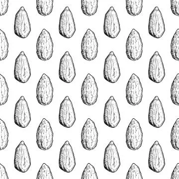 Almond nut vector seamless pattern. Hand drawn background. Food ingredient sk Stock Illustration