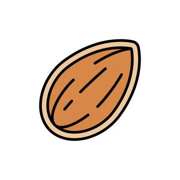 Almond nut with visible kernel front and shell backside Illustrazione stock