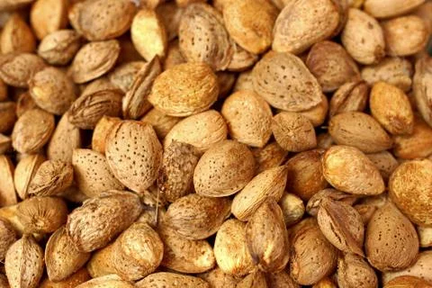 Almond nuts background. Stock Photos