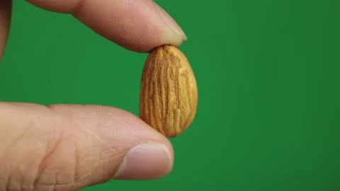 Almond nuts on green background Stock Footage 269097415