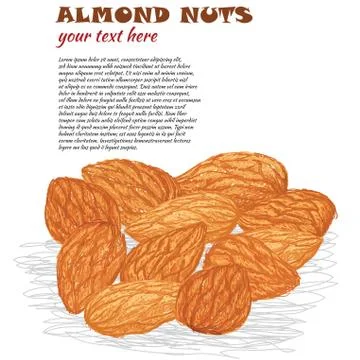 Almond nuts Stock Illustration