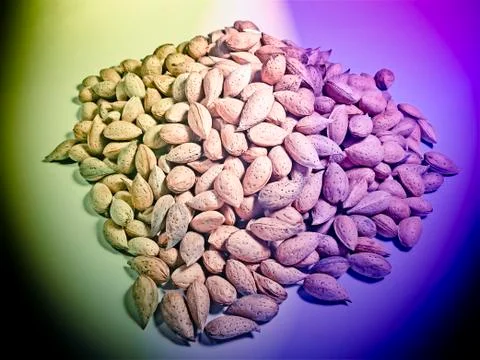 Almond nuts Stock Photos