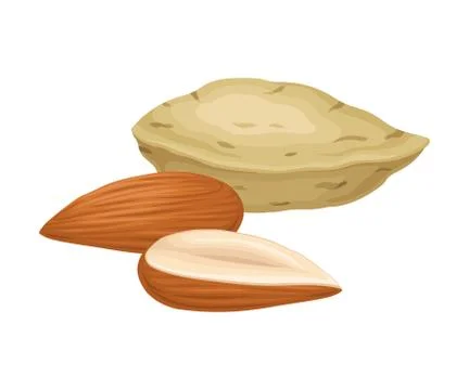 Almond Nuts in Shell and Half Peeled Vector Element Stock Illustration