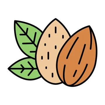 Almond Nuts with Shell and Without Shell Filled Icon Stock Illustration
