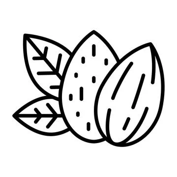 Almond Nuts with Shell and Without Shell Outline Icon Illustrazione stock