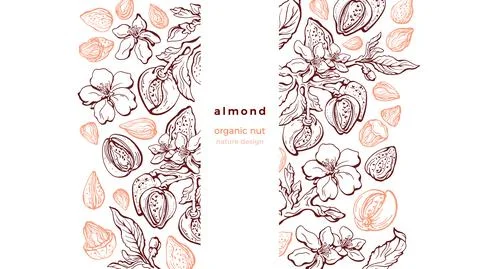 Almond nuts sketch pattern. Vector nature graphic illustration イラスト素材