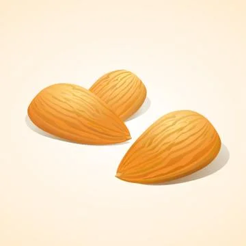 Almond nuts vector Stock Illustration