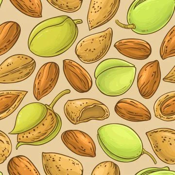 Almond nuts vector pattern Stock Illustration