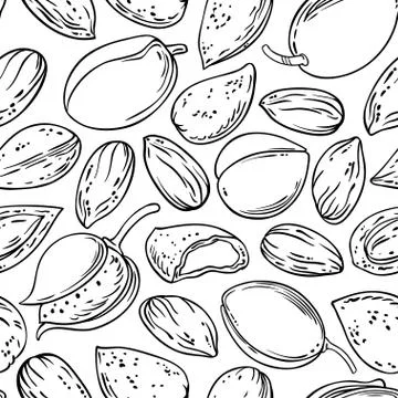 Almond nuts vector pattern Stock Illustration