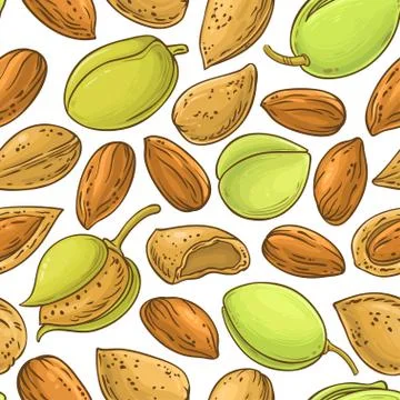 Almond nuts vector pattern Stock Illustration