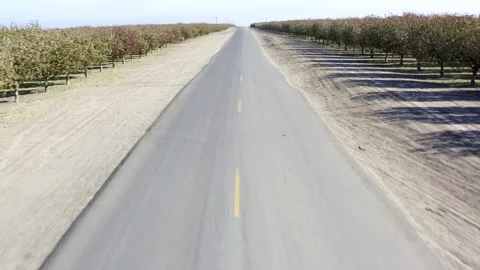 Almond Orchards in the Fall Central Valley California Drone Aerial View Stock Footage 147170771