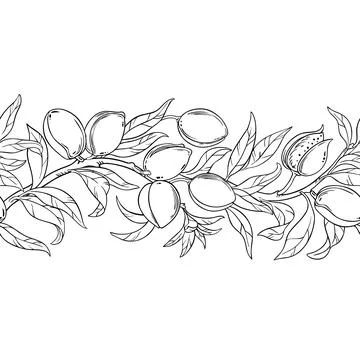 Almond Outline Horizontal Seamless Pattern. Stock Illustration