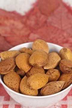 Almond Stock Photos