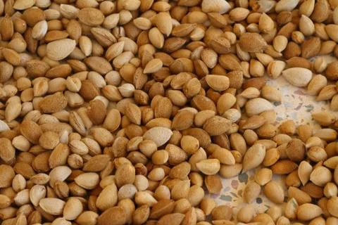Almond Stock Photos