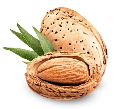 Almond Stock Photos