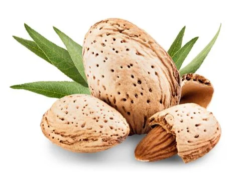 Almond Stock Photos