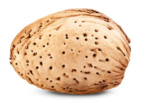 Almond Foto stock