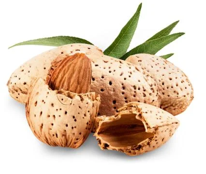 Almond Stock Photos