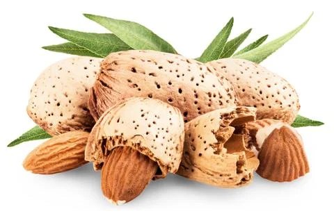 Almond Stock Photos