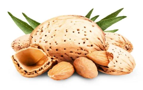 Almond Stock Photos