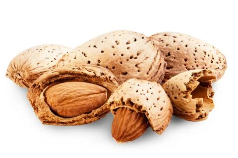 Almond Stock Photos