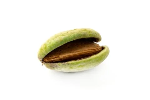Almond Stock Photos