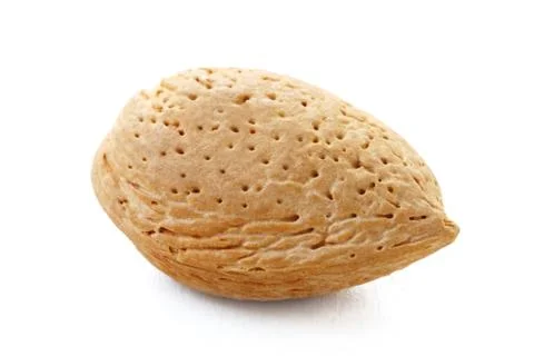 Almond Stock Photos