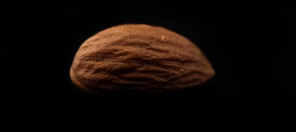 Almond Stock Photos
