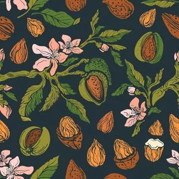 Almond print. Vector seamless pattern. Tropical tree, nut, green leaf, flower Stock Illustration