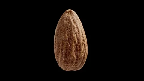 Almond rotating at black background. Raw snack. Almond nut without shell. Stock-Footage 293932958