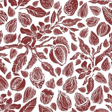Almond seamless pattern. Vector vintage garden Stock Illustration