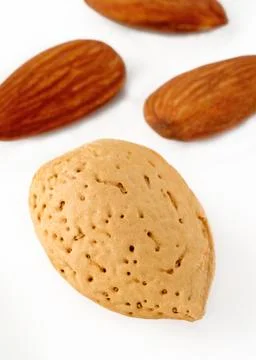 Almond seed Stock Photos