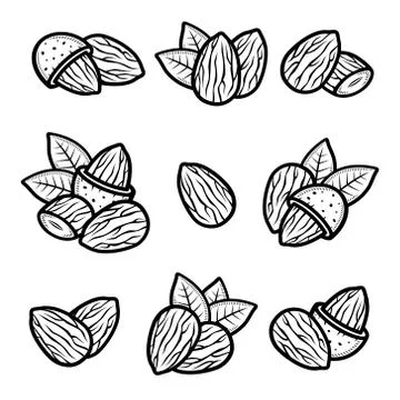 Almond set. Collection icon almond. Vector Stock Illustration