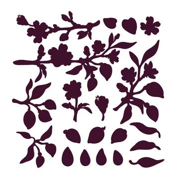 Almond set. Vector natural nut. Silhouette of branch, fruit, leaf, flower. Re Stock-Illustration