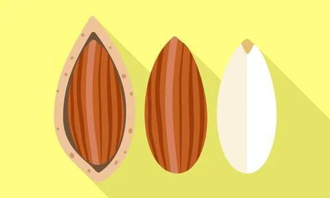 Almond shell clean icon, flat style 스톡 일러스트