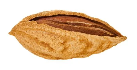 Almond shell with clipping path Stock Photos