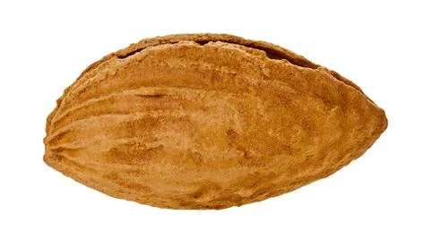 Almond shell with clipping path Stock Photos