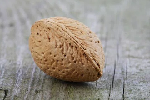 Almond in Shell - close-up Stock Photos