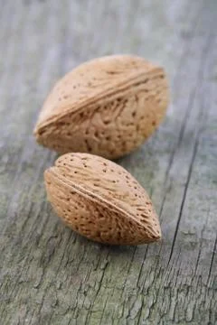 Almond in Shell - close-up Stock Photos