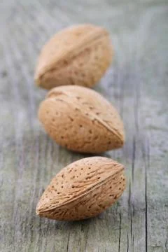 Almond in Shell - close-up Stock Photos