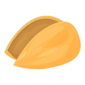 Almond shell lying open on white background Illustrazione stock