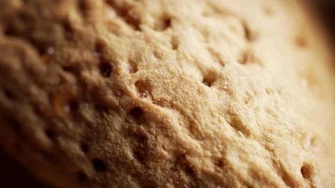 Almond shell super close up stock footage. Video stock 85535861