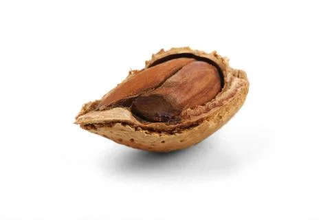 Almond in shell on white background Stock Photos