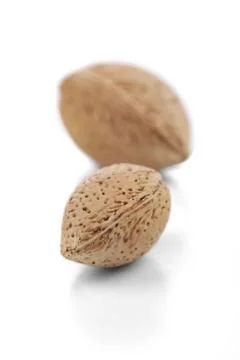 Almond in shell on white background Stock Photos