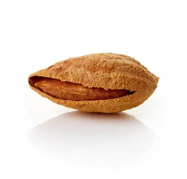 Almond in shell on white background Stock Photos