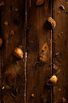 Almond Shells Stock Photos