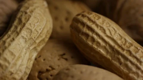 Almond shells remain still highlighting texture and natural form Stock Footage 328347865