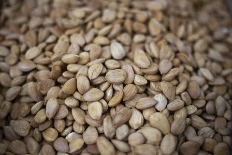 Almond texture Stock Photos