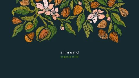 Almond texture template Vector tree Floral border Stock Illustration