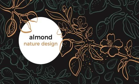 Almond tree. Vector template. Botanical branch, nut, leaf, flower. Tropical n Illustrazione stock